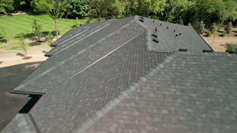 Best Solar Panel Roofing Installation  in Cedar Lake, IN