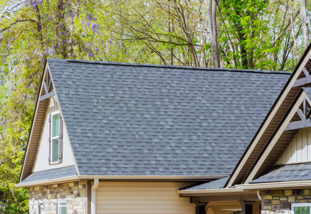 Best Roof Coating and Sealing  in Cedar Lake, IN