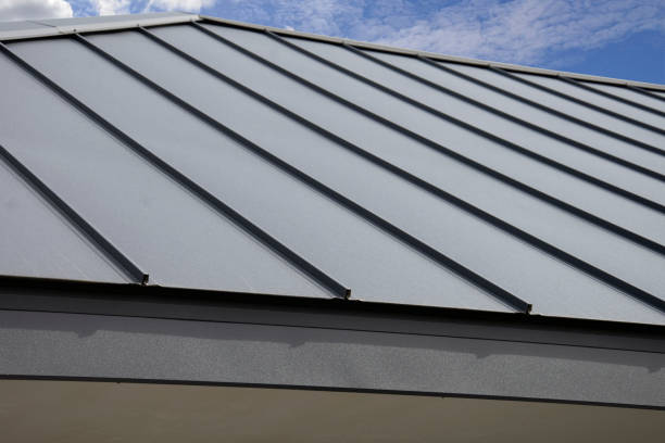 Best Sheet Metal Roofing  in Cedar Lake, IN