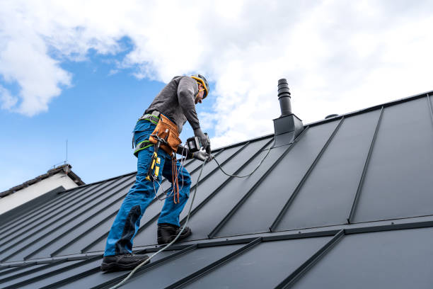 Best Skylight Installation and Repair  in Cedar Lake, IN